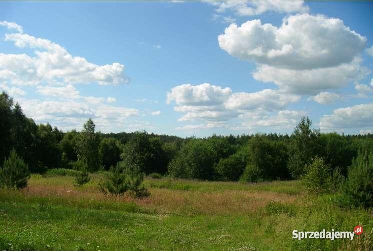 Gardeja działka budowlana26000m2 działki 1200m2 Gardeja