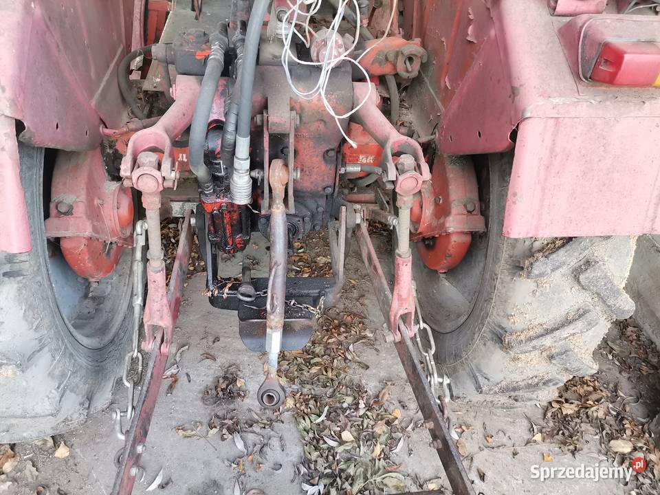 władimirec T25 Augustów