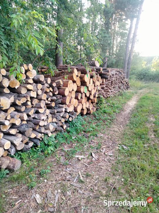 Drewno opałowe i kominkowe Bieszewo