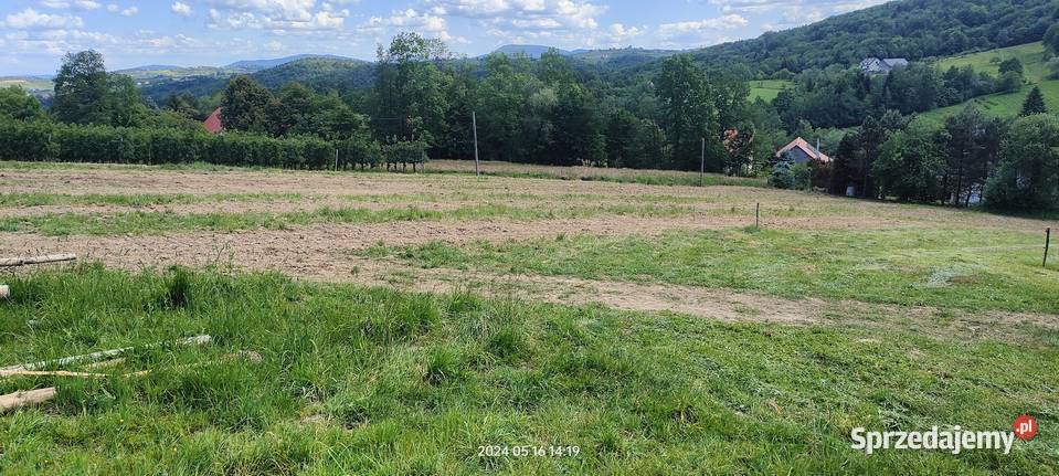Sprzedam działkę widokową Raciechowice
