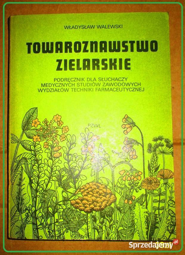 Zioła i rośliny lecznicze Przewodnik zioła Łódź