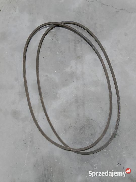 Paski kopaczka elewatorowa Huszlew sprzedam