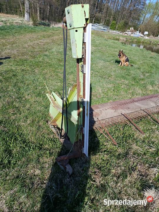 Przystawka do rzepaku Claas lexsion 440 sprzedam