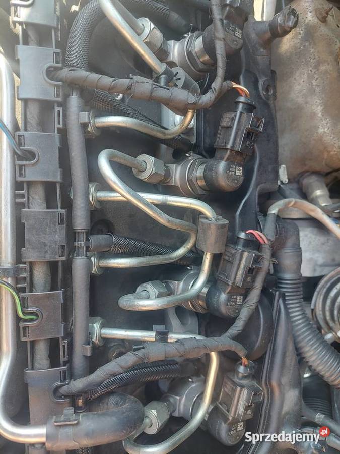 Sprzedam vw Cady maxi 16tdi 2011r Jarocin