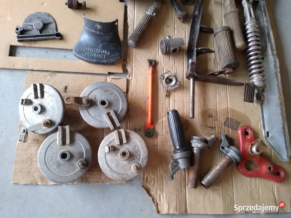 Romet ogar komar pozostałość kujawsko-pomorskie Kruszwica