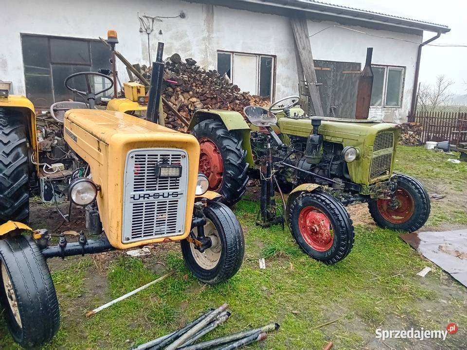 ciągnik ursus c4011 i ursus c335 195 Kudrowice