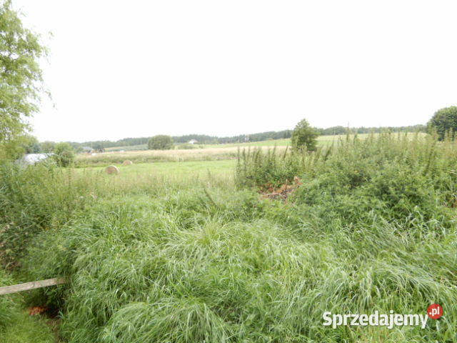 Syndyk sprzeda nieruchomość zabudowaną