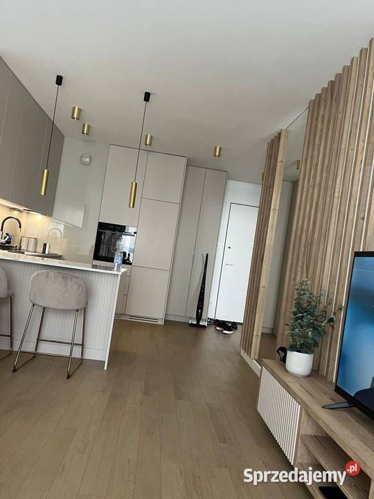 2 pokoje z halą garażowa i komórką Gdańsk Rok budowy 2022 sprzedam