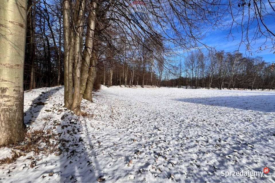 Jasienica działka pod zabudowę jednorodzinną 0m Sprzedaż