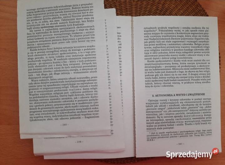 Dzieciństwo i społeczeństwo Erik H Erikson Warszawa