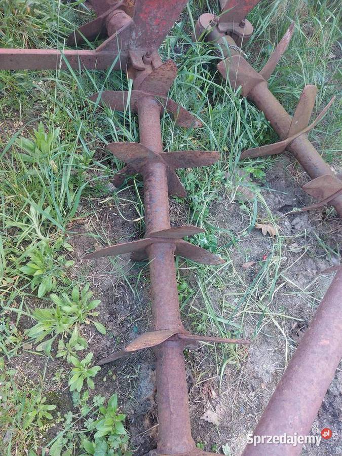 Brona kolczasta nieuszkodzony