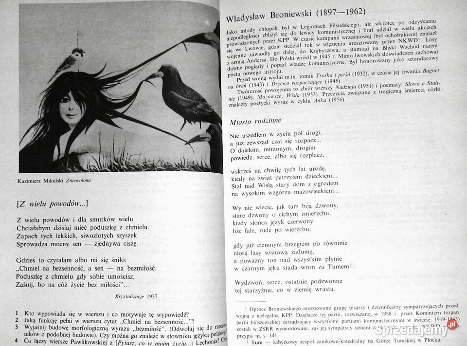 Język polski kl 3 ZDZ Janina Dietrich Kultura i Rozrywka lubelskie Chełm