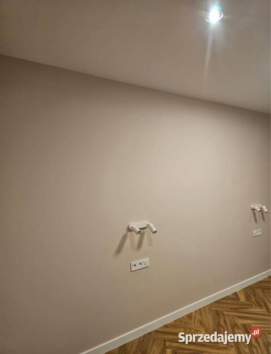 Przyjmie zlecenie na malowanie