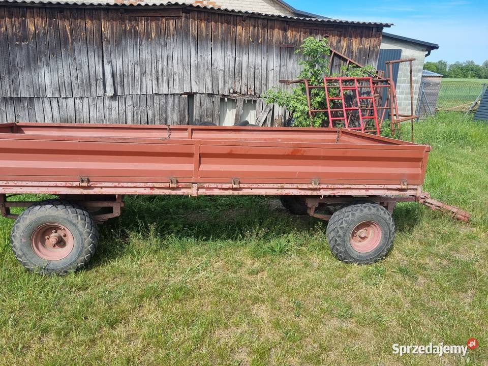 klacz przyczepa konna Firlej