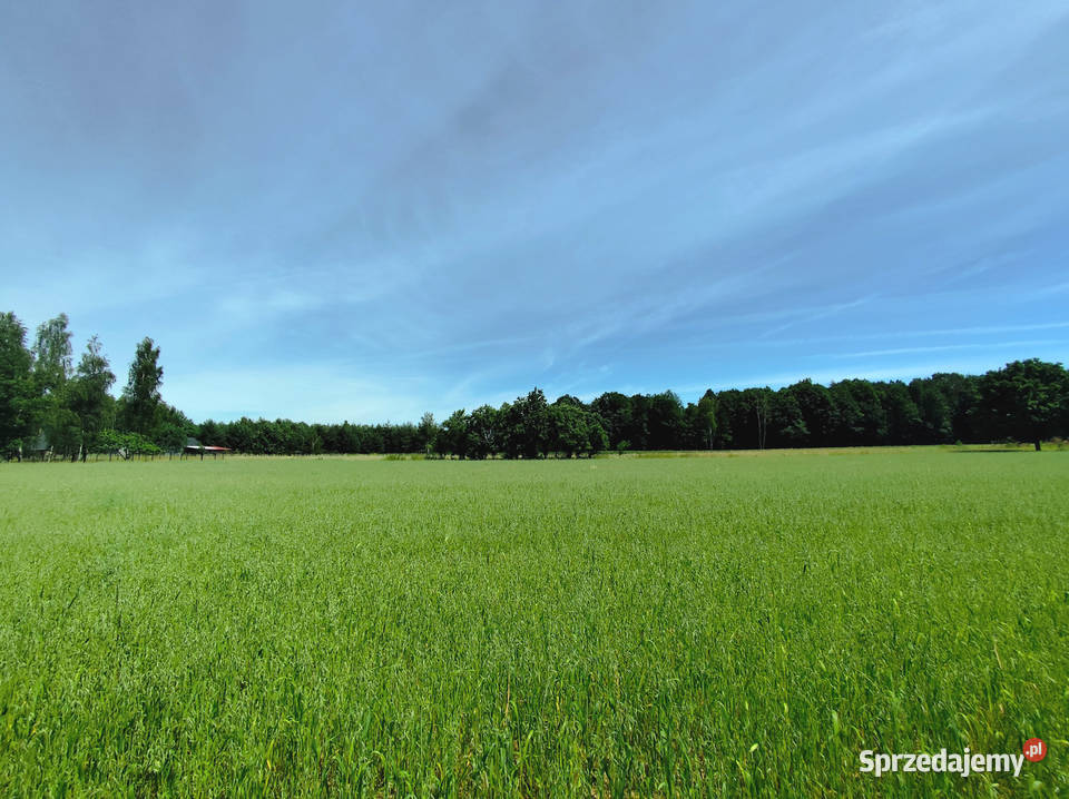 Sprzedam działkę budowlana 1765 m2 111zł/m2 Sprzedaż