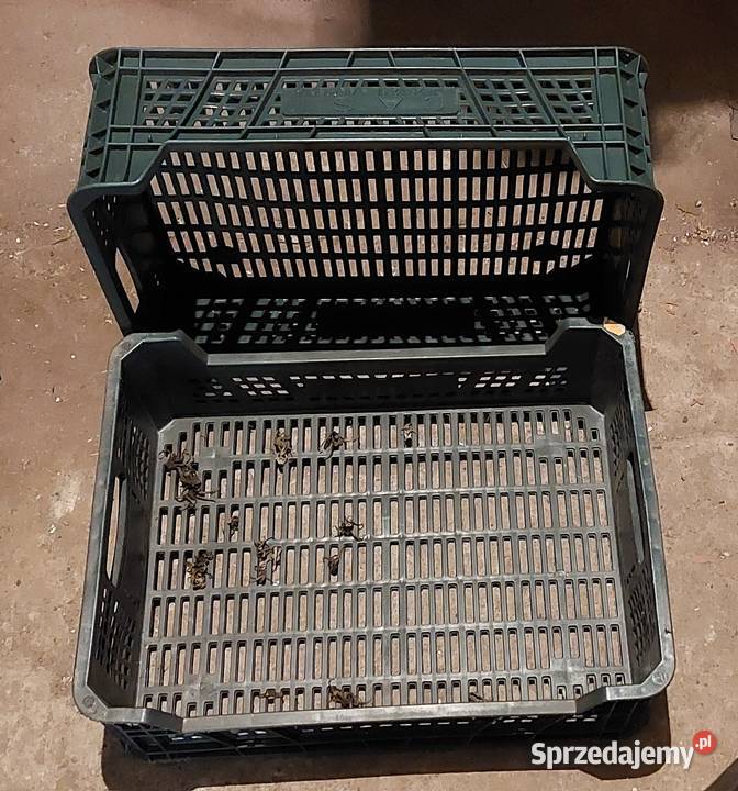 Skrzynki plastikowe różne rodzaje do 15 Czempiń