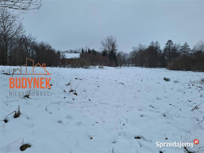 Działka rolna Przystawy 80m sprzedam