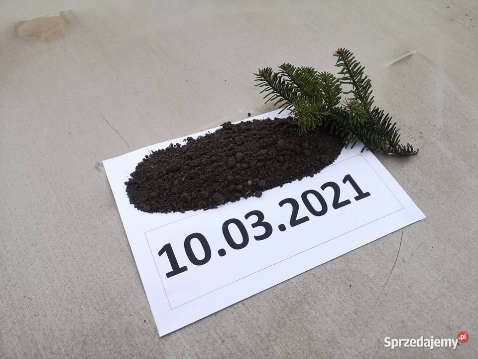 Przesiana ziemia ogrodowa HUMUS Architektura ogrodowa Kraków sprzedam
