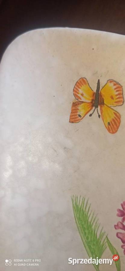 Patera owalna Z motylkiem trawami ziołami