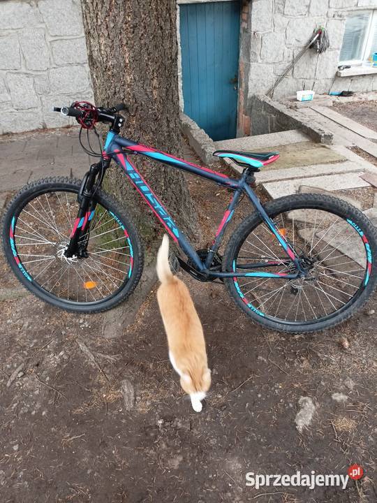 Rower MTB 29 Wołów