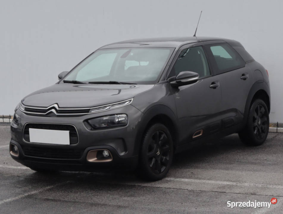 Citroen C4 Cactus 12 PureTech lubelskie Lublin