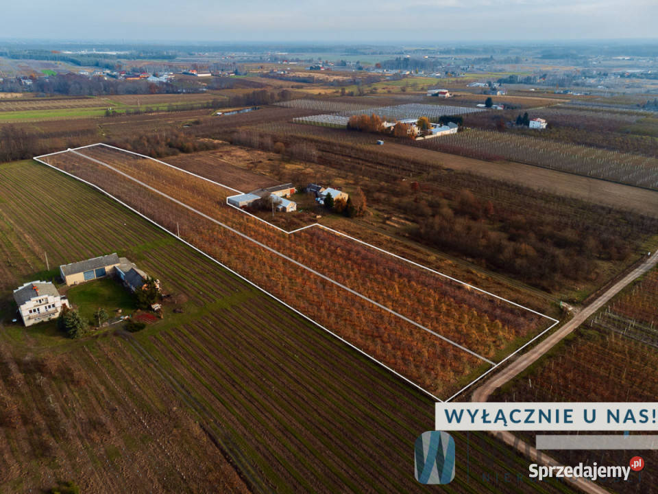 Działka 21802m2 Michrów