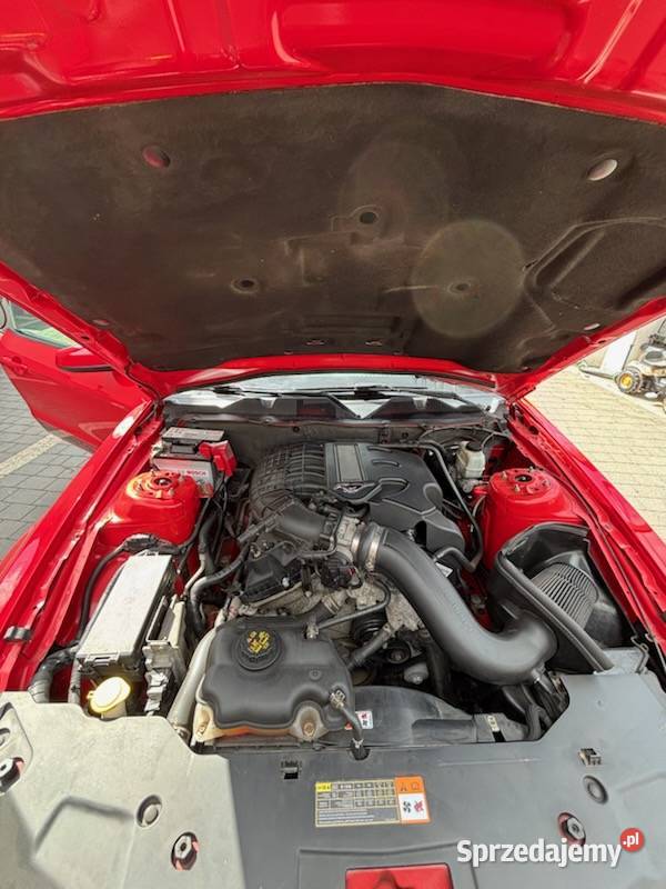 Nustang Premium Pony Package zadbany dużo nieuszkodzony Piotrków Trybunalski sprzedam