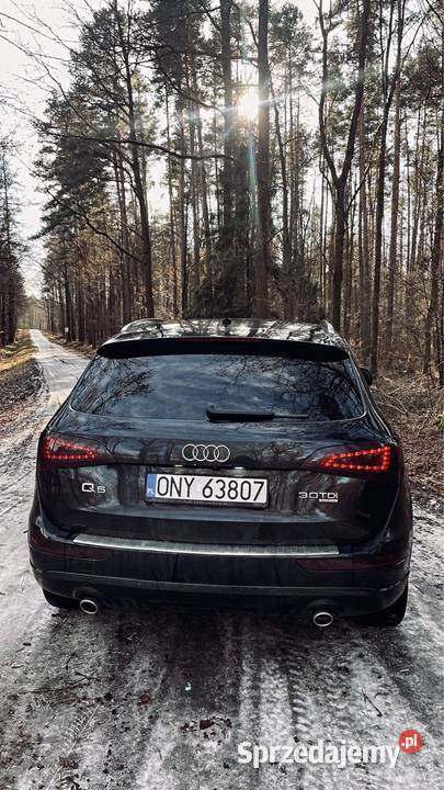 Audi Q5 30 TDI V6 245 Quattro Stronic Nysa