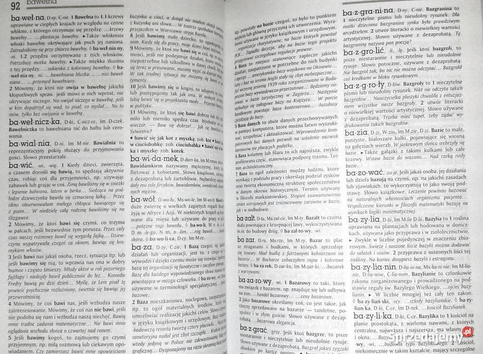 Słownik języka polskiego AGar Tom 1 Chełm