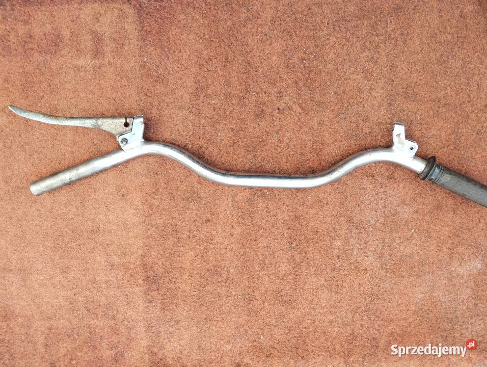 PANNONIA PANNONIA kireownica dolnośląskie Głogów