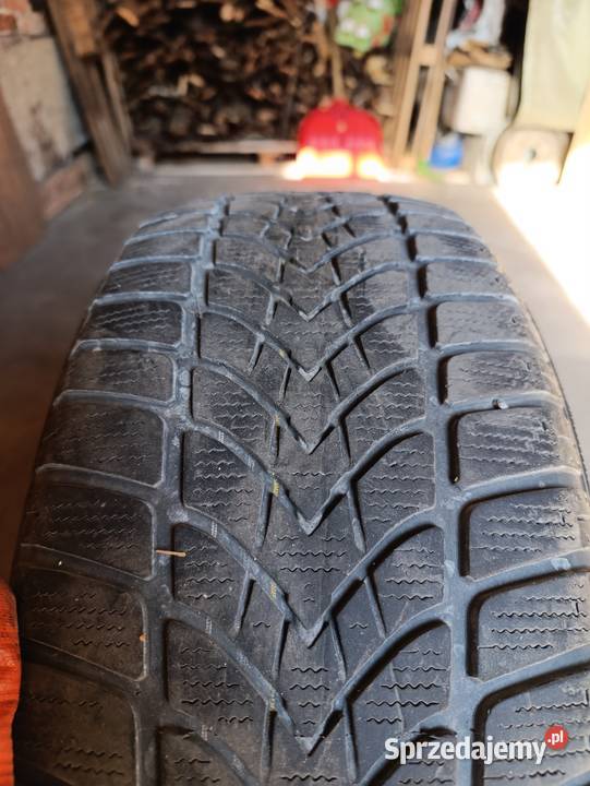 Opony Zimowe Dunlop 20555R16 Kobyłka
