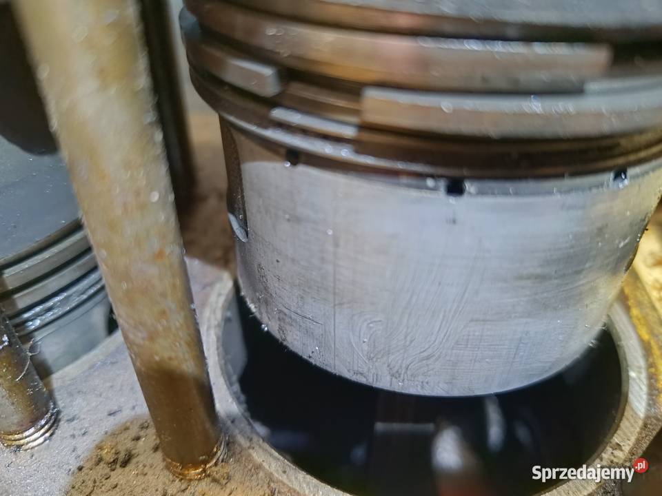 Sprężarka kompresor orlik Trzebunia