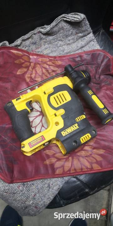 Dewalt DCH253 typ1 Wiertarki i wkrętarki Hrubieszów