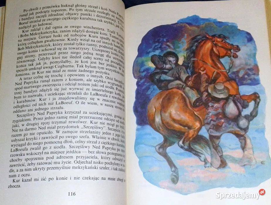 Troje na prerii Charles Portis Chełm