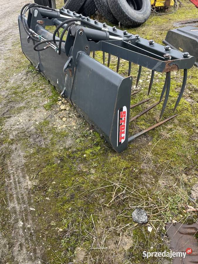 Widłykrokodyl Stoll