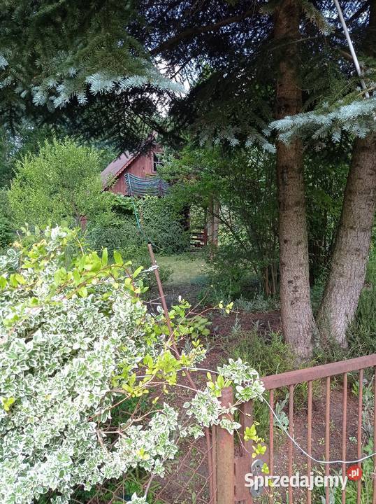 Sprzedam działkę ROD Chobot Warszawa