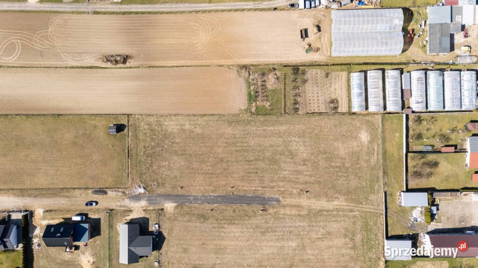 Działka budowlana Daszewice z WZ Nieruchomości