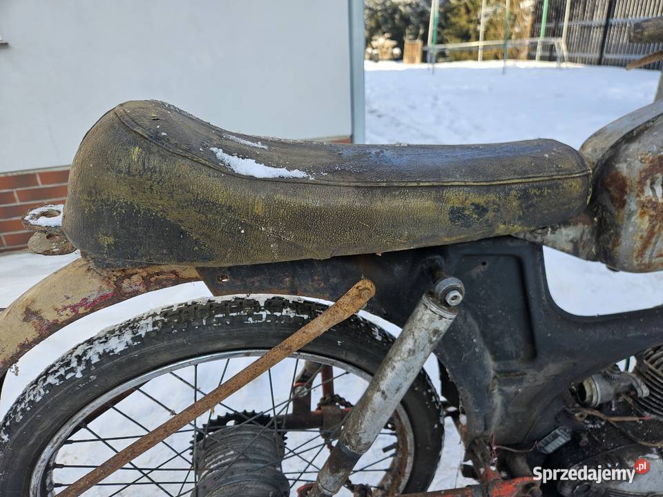 Komar sport nie motorynka ryś