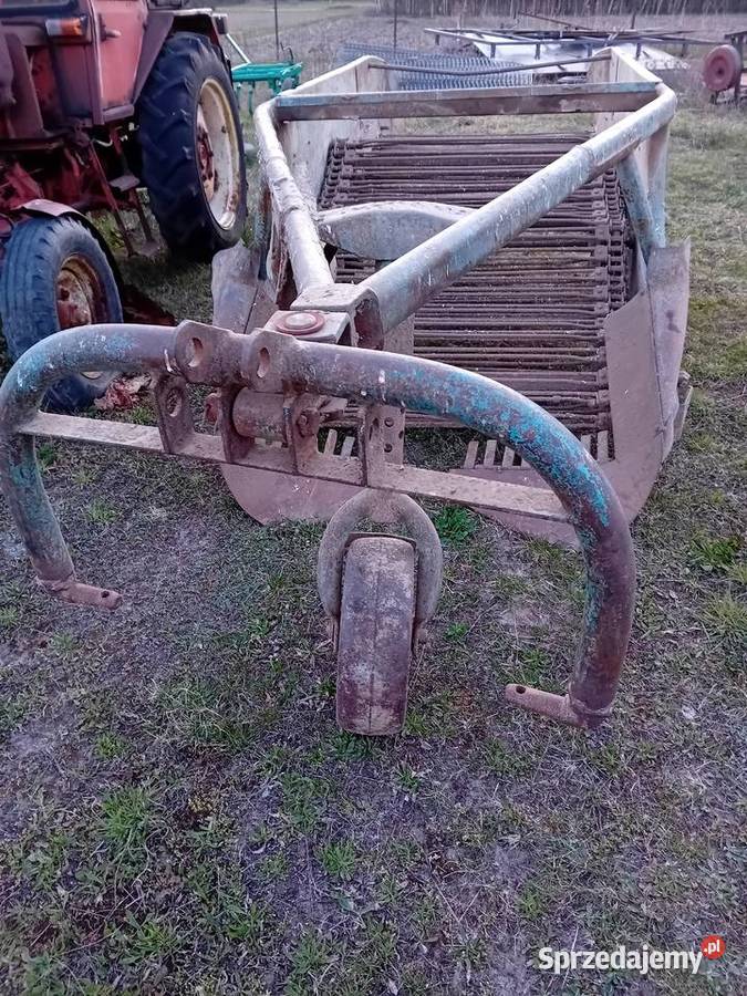 Sprzedam kopaczke elewatorowa Ryki