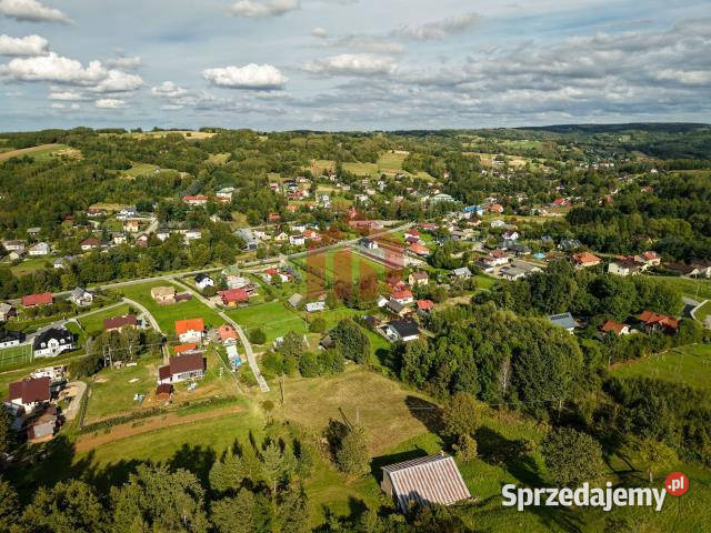 Grunt Lubenia 2932m2 Sprzedaż