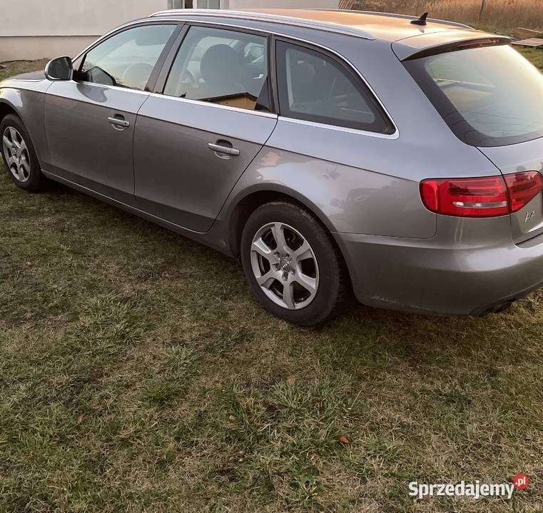 Audi A4 b8 Wielgie