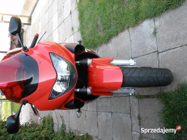 honda cbr 600 F4 99 Niedźwiedź