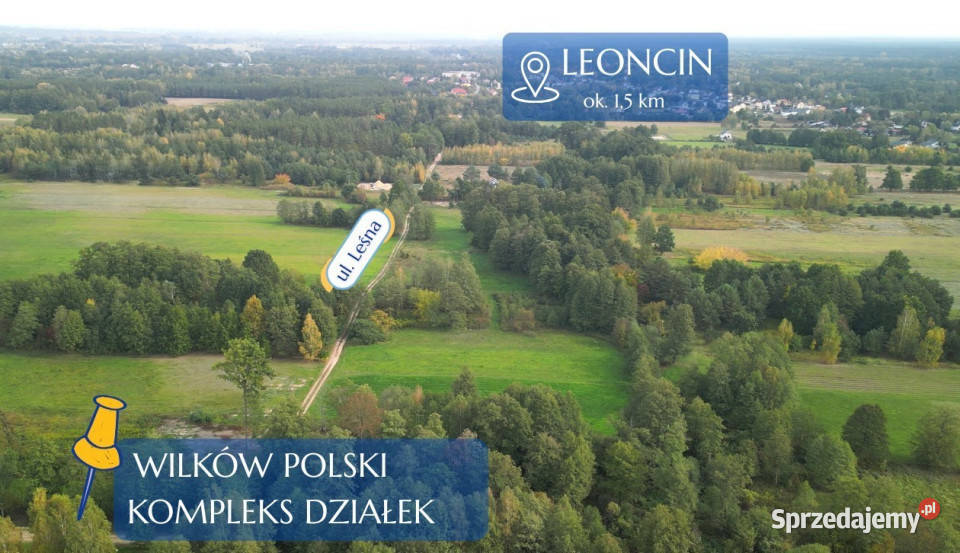 Działka budowlana 1020m2 Wilków Polski 120zł/m2