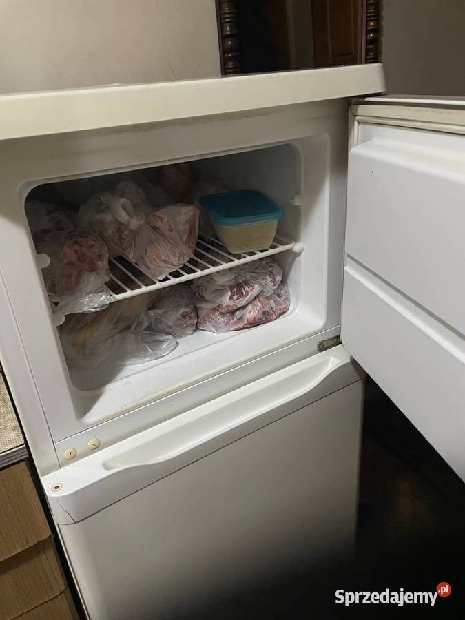 Lodówka Zanussi wolnostojące Rawa Mazowiecka