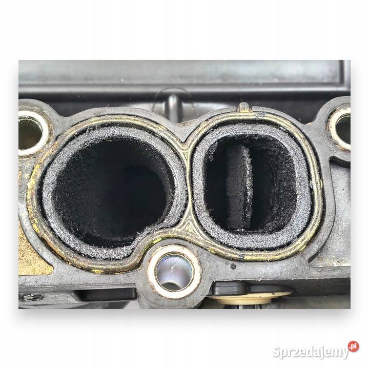 KOLEKTOR SSĄCY Opel Insignia 20 CDTI 55571993 lubelskie Chełm