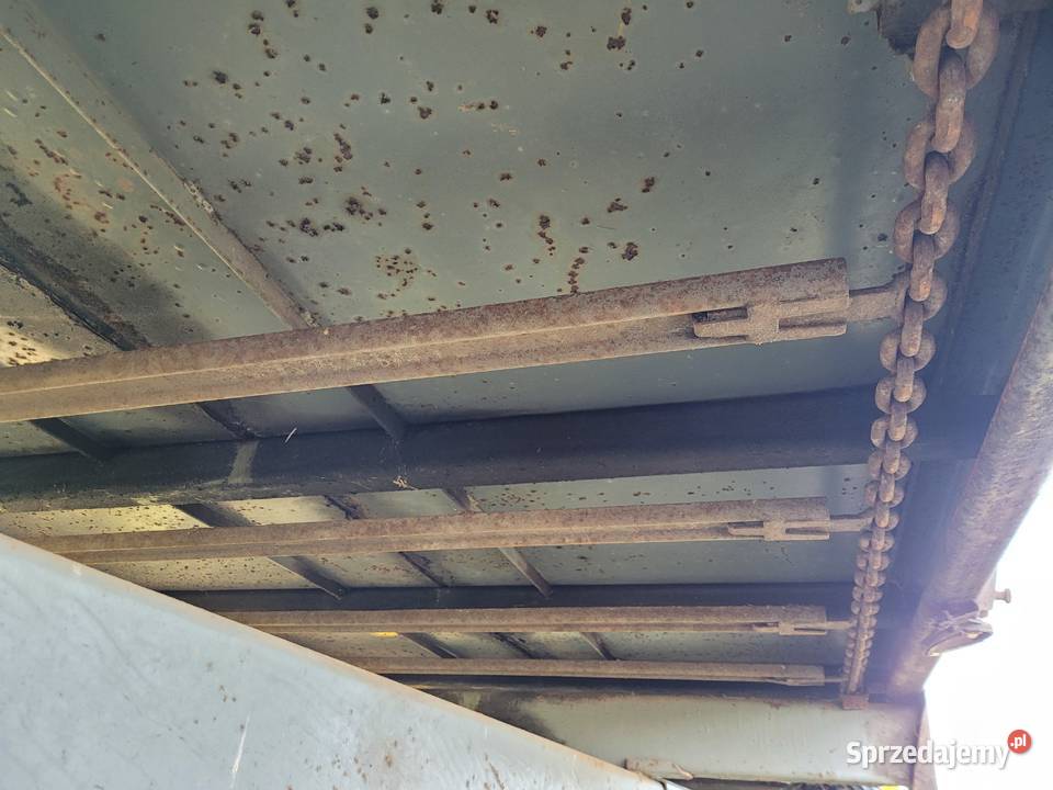 Rozrzutnik ORYGINAŁ czarnabialostocka mazowieckie Ostrówek sprzedam