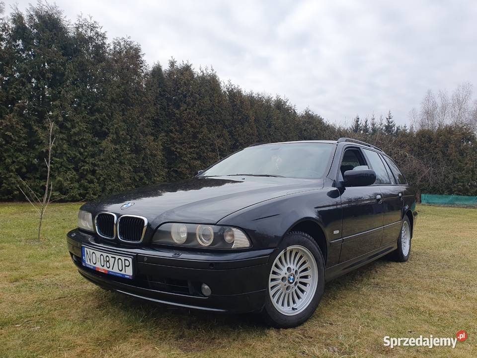BMW5 E39 2001r 520i 22Benzyna 170 Manual Zimówki manualna Mrozy