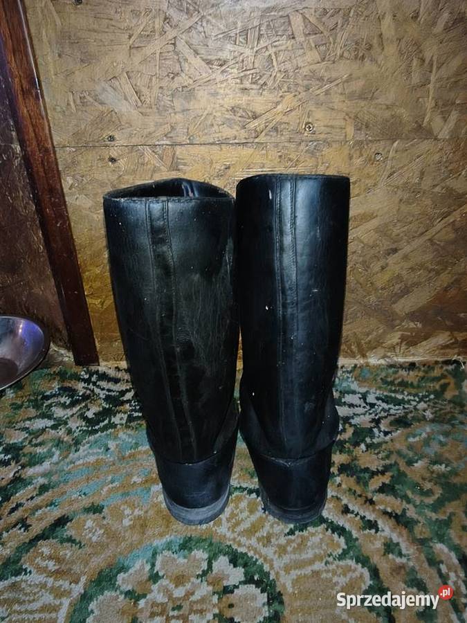 Oficerki z II WS Militaria podlaskie