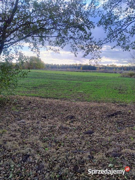 Działka uzbrojona Leżajsk sprzedam