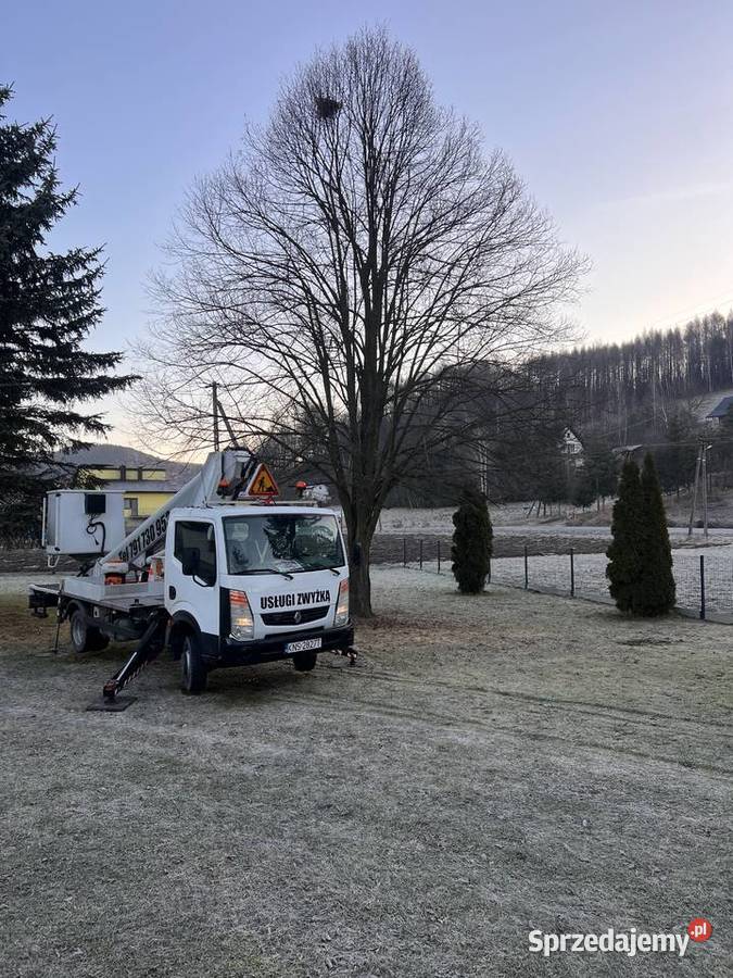Usługi podnośnikiem koszowym 22m Nowy Sącz